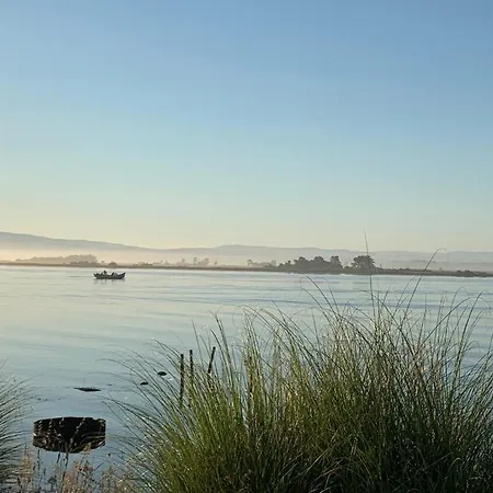 O Cantinho Entre A Ria E O Mar - With Hot Water Pool Year Round בית נופש טוריירה