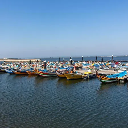 O Cantinho Entre A Ria E O Mar - With Hot Water Pool Year Round בית נופש טוריירה