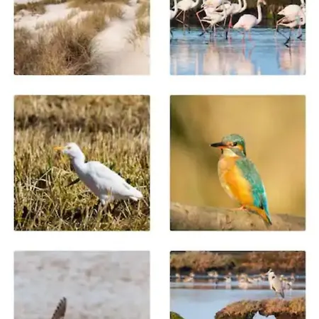 בית נופש O Cantinho Entre A Ria E O Mar - With Hot Water Pool Year Round טוריירה