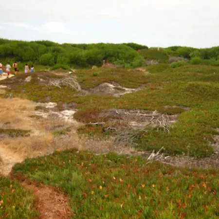 O Cantinho Entre A Ria E O Mar - With Hot Water Pool Year Round בית נופש טוריירה