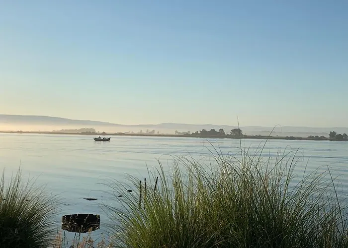 O Cantinho Entre A Ria E O Mar - With Hot Water Pool Year Round Tatil Evi Torreira