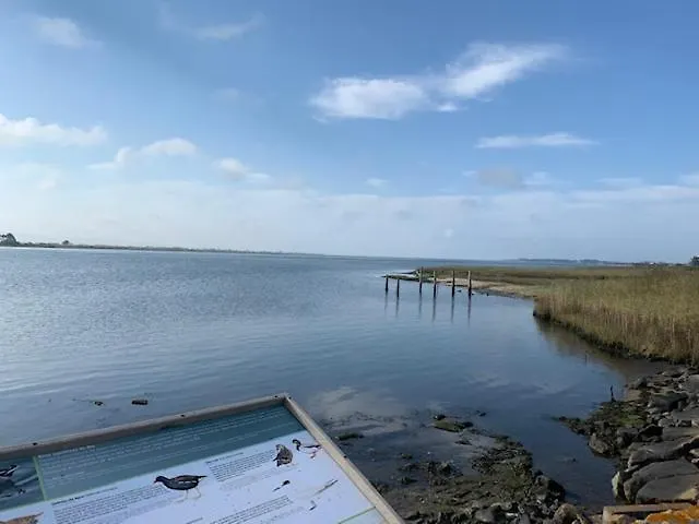 O Cantinho Entre A Ria E O Mar - With Hot Water Pool Year Round Tatil Evi Torreira