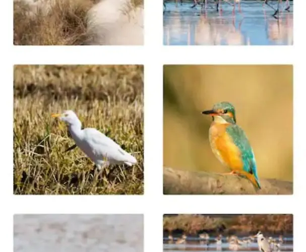 Tatil Evi O Cantinho Entre A Ria E O Mar - With Hot Water Pool Year Round Torreira