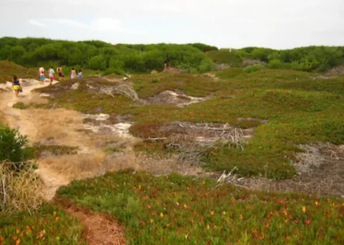 O Cantinho Entre A Ria E O Mar - With Hot Water Pool Year Round Tatil Evi Torreira