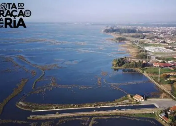 O Cantinho Entre A Ria E O Mar - With Hot Water Pool Year Round Tatil Evi *